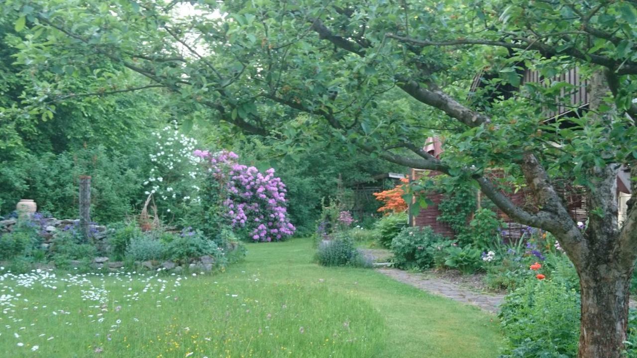 Landhaus Bernecker, Bay.W. Rinchnach 외부 사진
